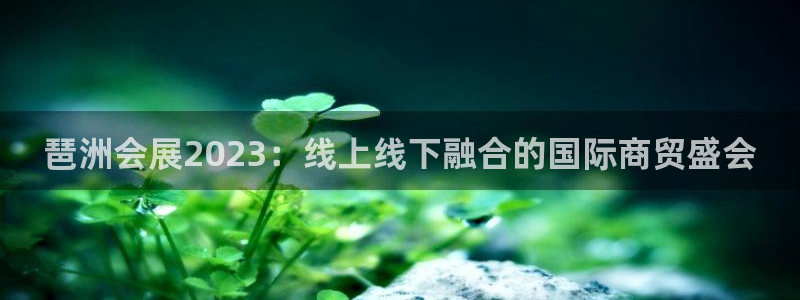 果博平台开户电话查询：琶洲会展2023：线上线下融合的国际商贸盛会