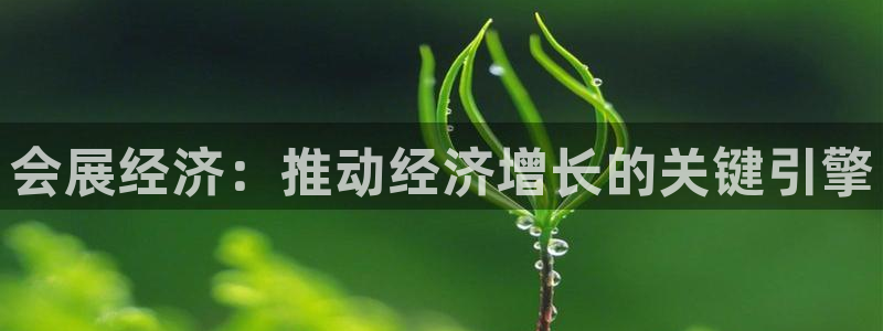 果博公司开户热线：会展经济：推动经济增长的关键引擎