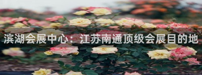 果博客服联系电话：滨湖会展中心：江苏南通顶级会展目的地