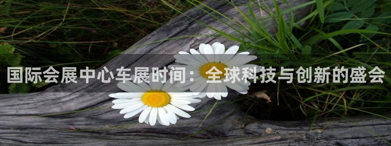 果博集团：国际会展中心车展时间：全球科技与创新的盛会
