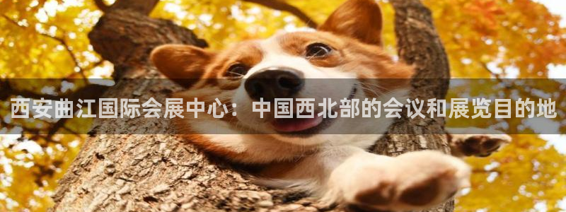 苹果电脑怎么下载博弈大师等软件：西安曲江国际会展中心：中国西北部的会议和展览目的地