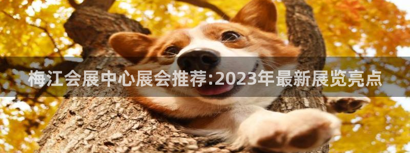 果博平台真实吗知乎推荐：梅江会展中心展会推荐:2023年最新展览亮点