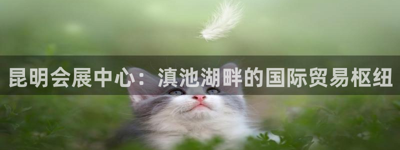 苹果电脑怎么下载博弈大师等软件：昆明会展中心：滇池湖畔的国际贸易枢纽