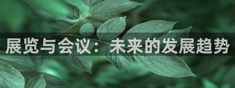 果博怎么注册账号：展览与会议：未来的发展趋势