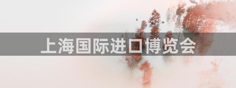 果博注册账号链接：上海国际进口博览会