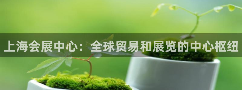 苹果电脑怎么下载伯索：上海会展中心：全球贸易和展览的中心枢纽