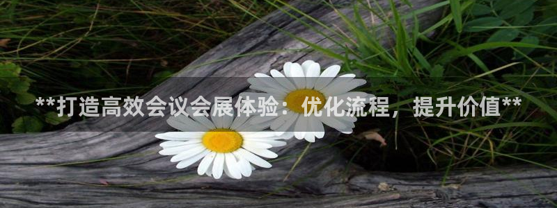 果博平台链接：**打造高效会议会展体验：优化流程，提升价值**