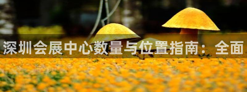 果博代理：深圳会展中心数量与位置指南：全面