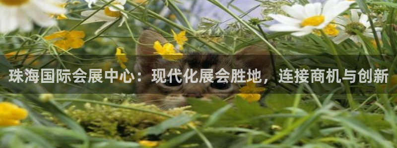 果博公司网站：珠海国际会展中心：现代化展