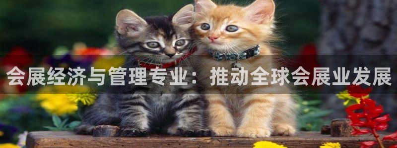 果博有假吗：会展经济与管理专业：推动全球会展业发展
