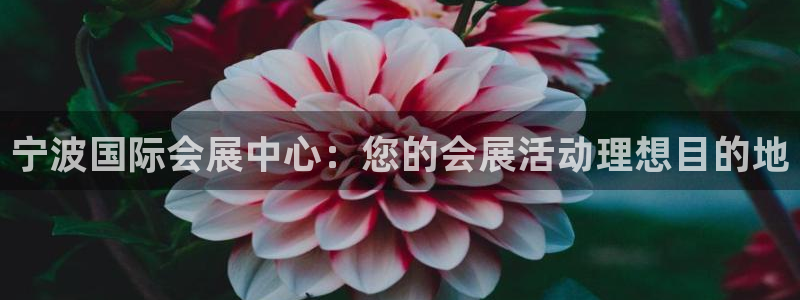 果博代理网：宁波国际会展中心：您的会展活动理想目的地