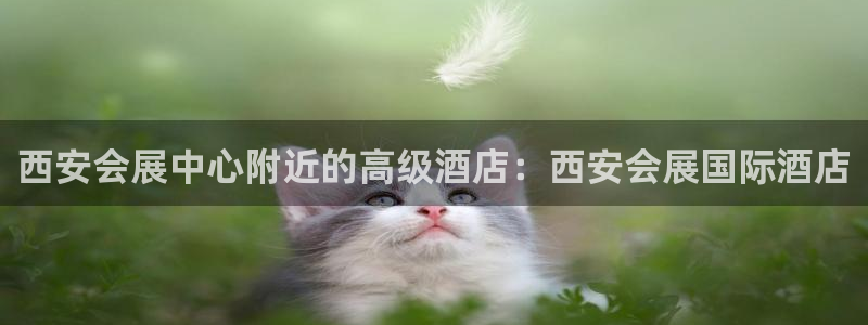 果博平台开户电话是多少：西安会展中心附近的高级酒店：西安会展国际酒店