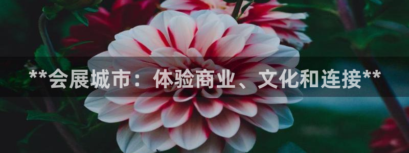 苹果电脑可以下载博易大师吗：**会展城市：体验商业、文化和连接**