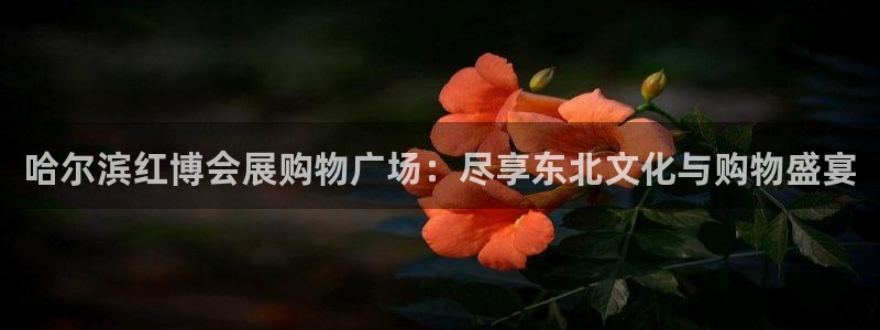 果博注册平台怎么注册：哈尔滨红博会展购物广场：尽享东北文化与购物盛宴