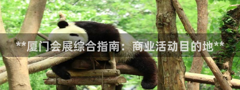 果博注册充值：**厦门会展综合指南：商业活动目的地**
