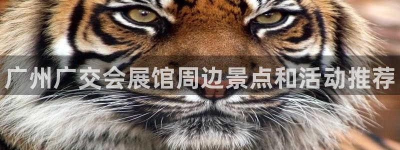 果博怎么注册账号：广州广交会展馆周边景点和活动推荐