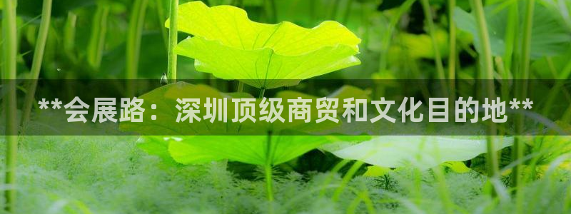 果博注册客服电话号码是多少：**会展路：深圳顶级商贸和文化目的地**