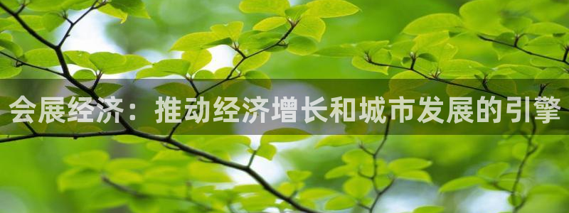 果博平台怎么下载?：会展经济：推动经济增长和城市发展的引擎