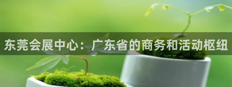 果博是怎么登录的：东莞会展中心：广东省的商务和活动枢纽