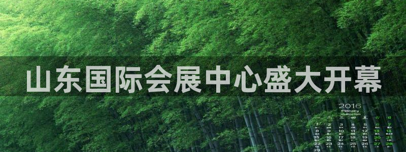 果博公司在线客服：山东国际会展中心盛大开幕