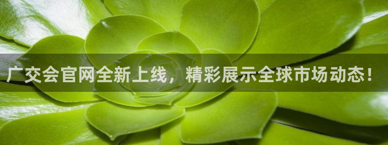 苹果电脑可以下载博易大师吗：广交会官网全新上线，精彩展示全球市场动态！