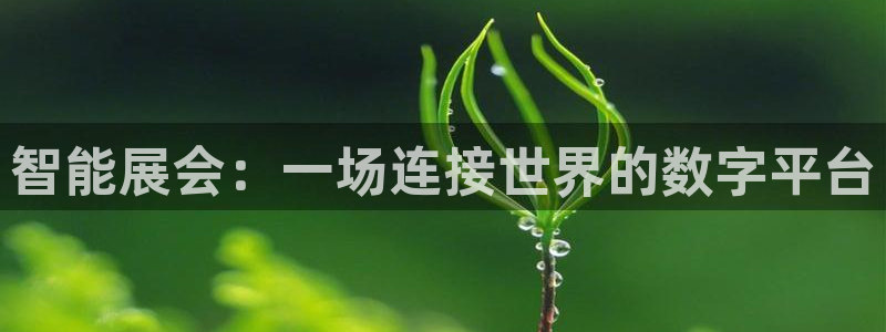 手机怎样下载果博