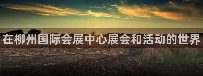 果博公司网站：在柳州国际会展中心展会和活动的世界