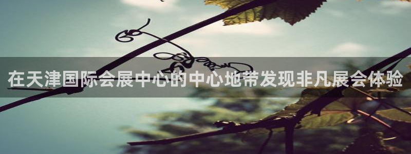 果博是怎么登录的：在天津国际会展中心的中心地带发现非凡展会体验