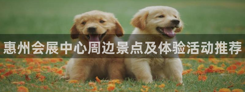 果博官网客服电话号码：惠州会展中心周边景点及体验活动推荐