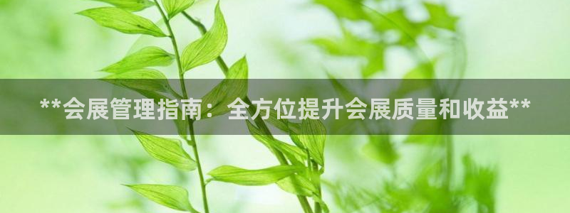 果博注册充值多少钱：**会展管理指南：全方位提升会展质量和收益**
