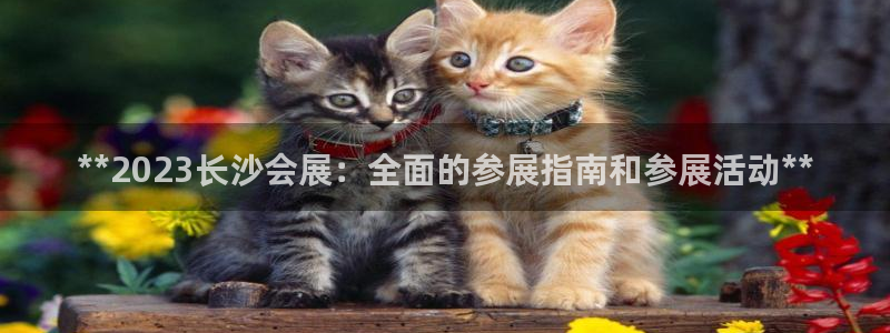 果博客服电话哪里找啊：**2023长沙会展：全面的参展指南和参展活动**