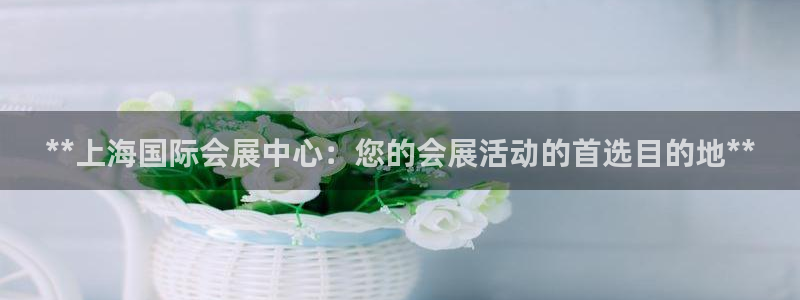 果博公司注册：**上海国际会展中心：您的会展活动的首选目的地**