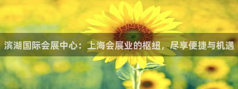 果博代理电话多少号码：滨湖国际会展中心：上海会展业的枢纽，尽享便捷与机遇