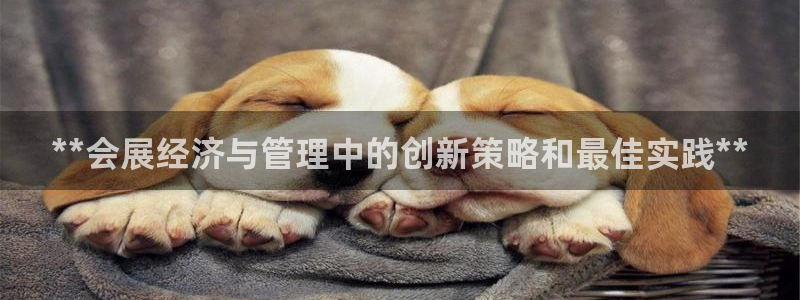 果博环保官网：**会展经济与管理中的创新策略和最佳实践**