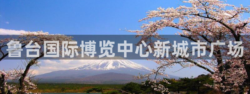 苹果电脑怎么下载伯索：鲁台国际博览中心新城市广场