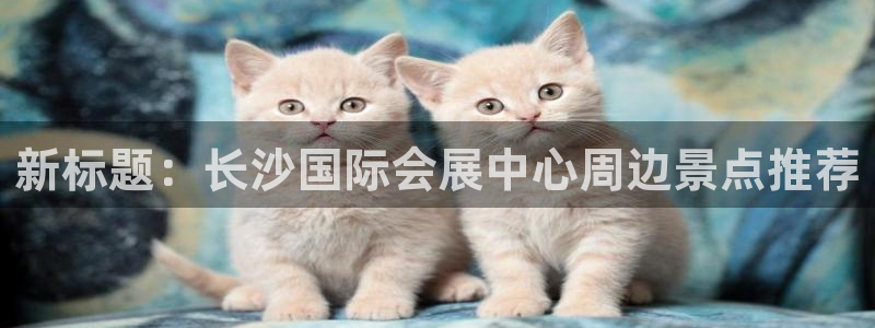 果博平台真实吗安全吗是真的吗：新标题：长沙国际会展中心周边景点推荐