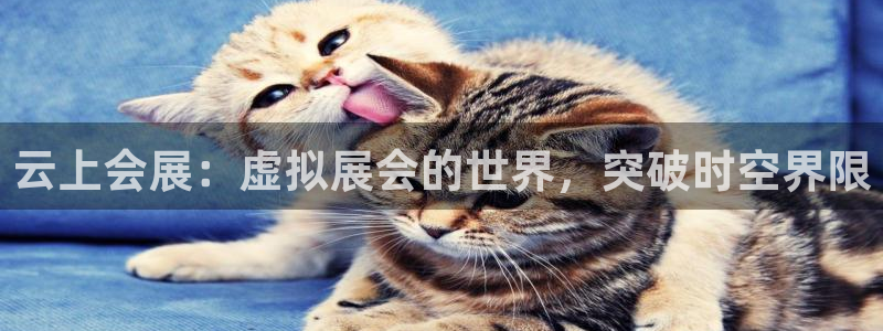 果博官网在银博：云上会展：虚拟展会的世界，突破时空界限