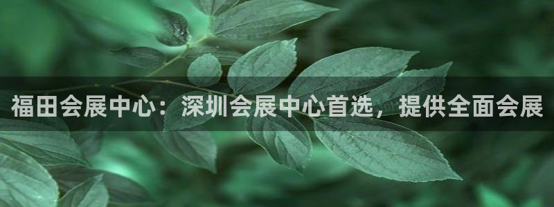 果博账号注册要钱吗：福田会展中心：深圳会展中心首选，提供全面会展