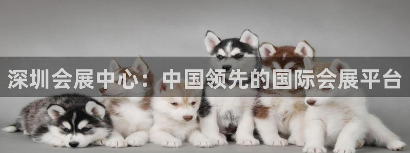 果博公司客服微信：深圳会展中心：中国领先的国际会展平台