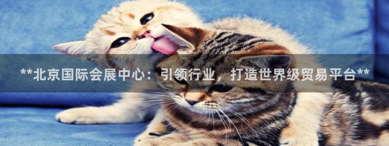 果博官网客服电话号码：**北京国际会展中心：引领行业，打造世界级贸易平台**
