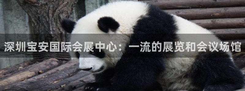 果博平台客服：深圳宝安国际会展中心：一流的展览和会议场馆