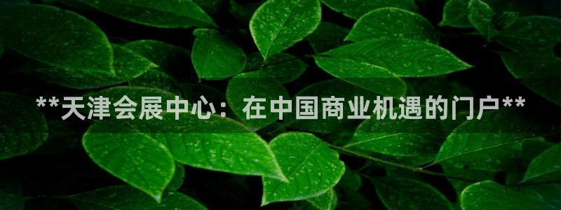 手机怎样下载果博：**天津会展中心：在中国商业机遇的门户**
