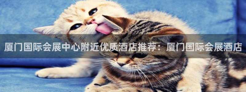果博官方热线：厦门国际会展中心附近优质酒