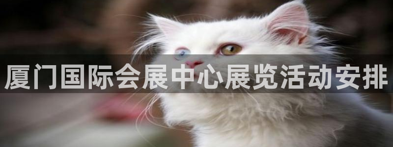 果博公司会员注册：厦门国际会展中心展览活动安排