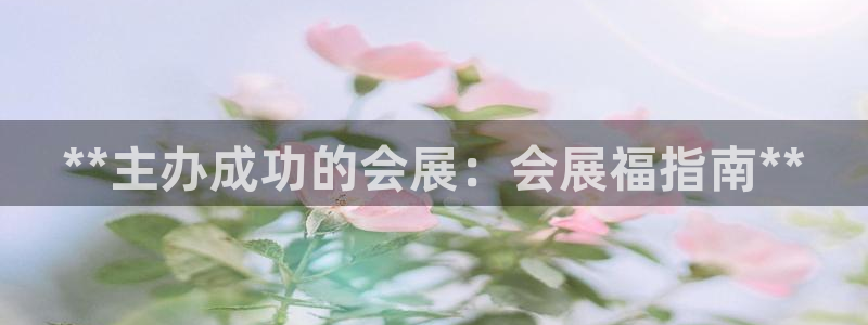 果博注册平台：**主办成功的会展：会展福指南**