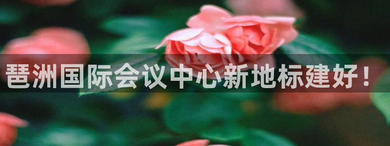 果博公司会员注册账号：琶洲国际会议中心新地标建好！
