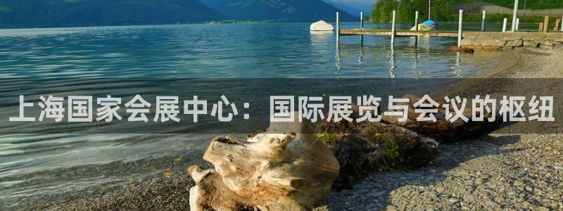 果博注册客服电话是多少号码：上海国家会展中心：国际展览与会议的枢纽