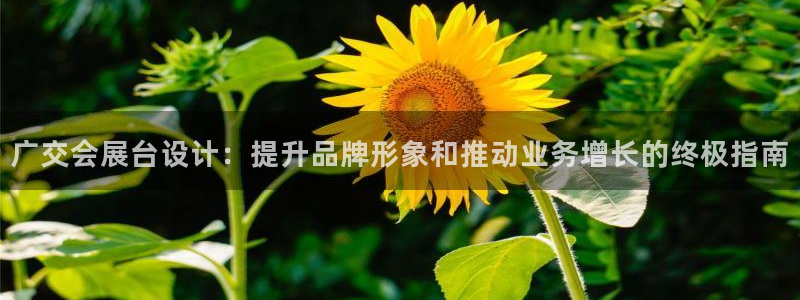 下载果博app：广交会展台设计：提升品牌形象和推动业务增长的终极指南