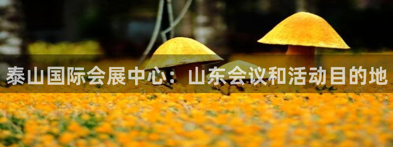 果博公司会员注册账号：泰山国际会展中心：山东会议和活动目的地