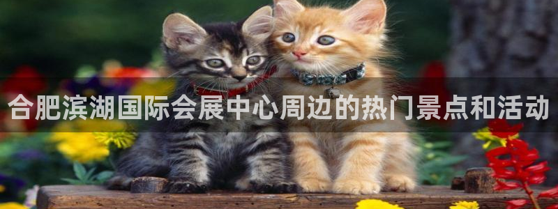 果博怎么注册账号和密码：合肥滨湖国际会展中心周边的热门景点和活动